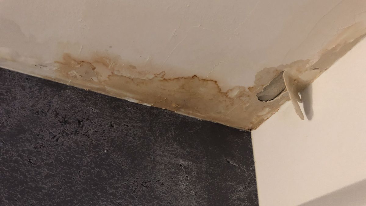Zichtbare Waterschade