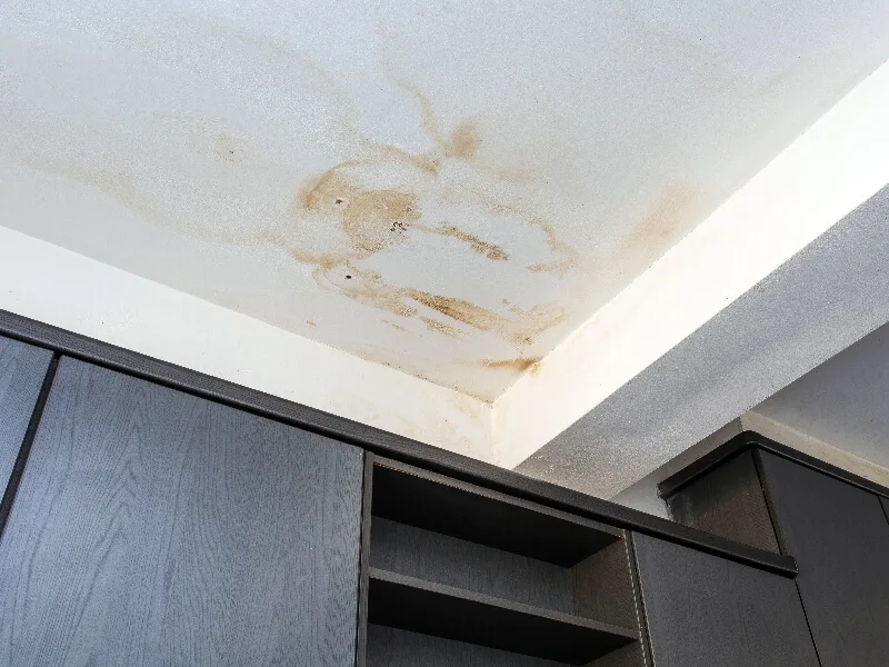 wat te doen bij daklekkage