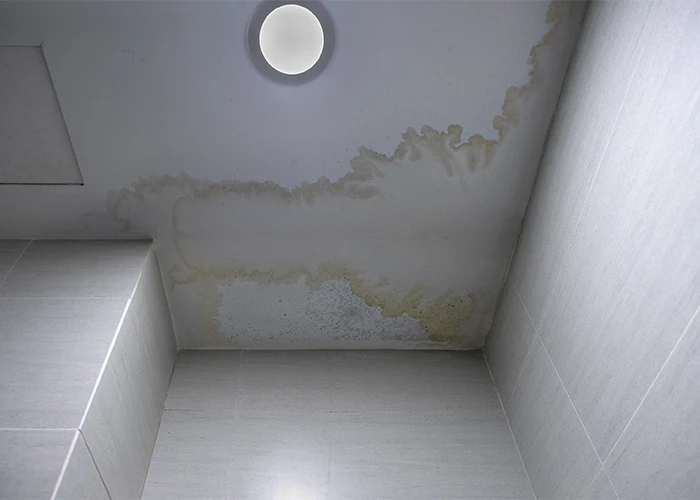 Wat te doen bij een daklekkage?