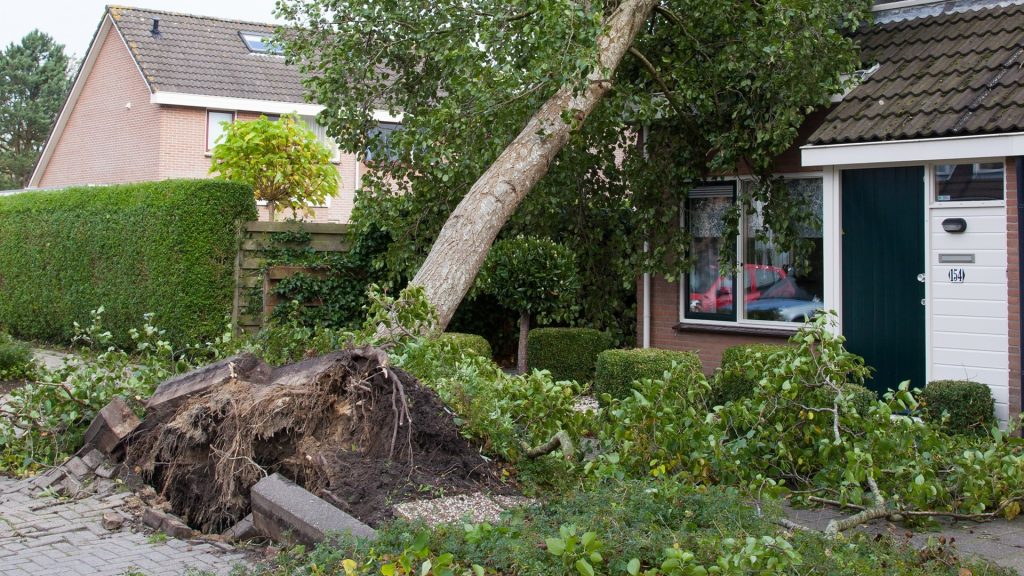 stormschade
