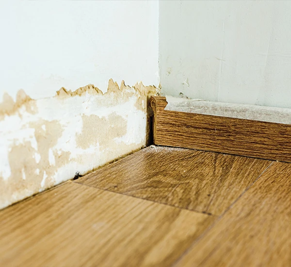 Is een schade expert onafhankelijk