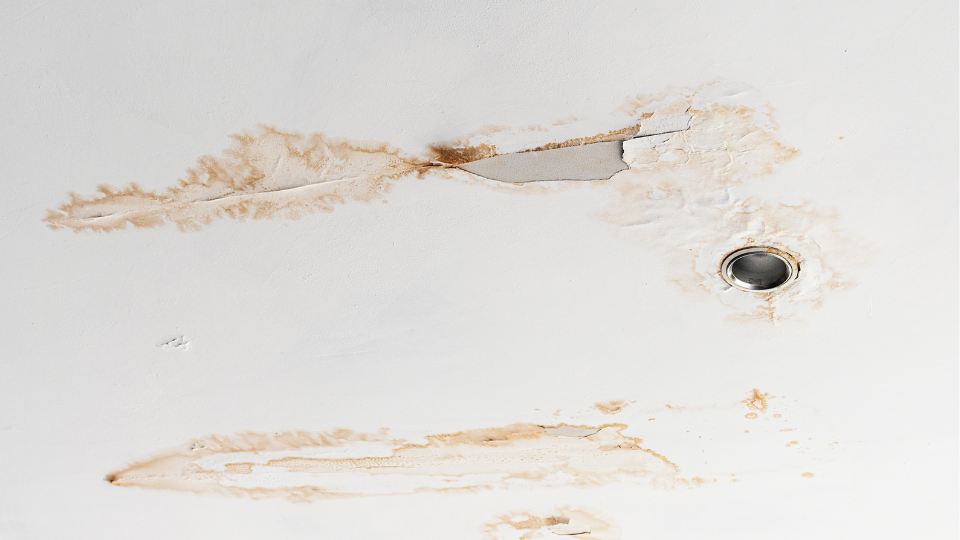 schade platfond door waterschade